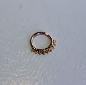 14k Rose Gold Seamless Ring 16g (Scylla)